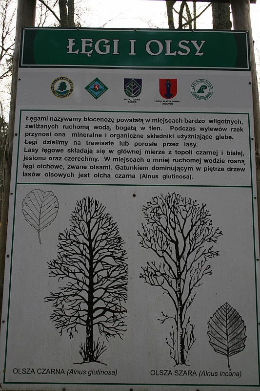 Rostoczek 11.2008 077
